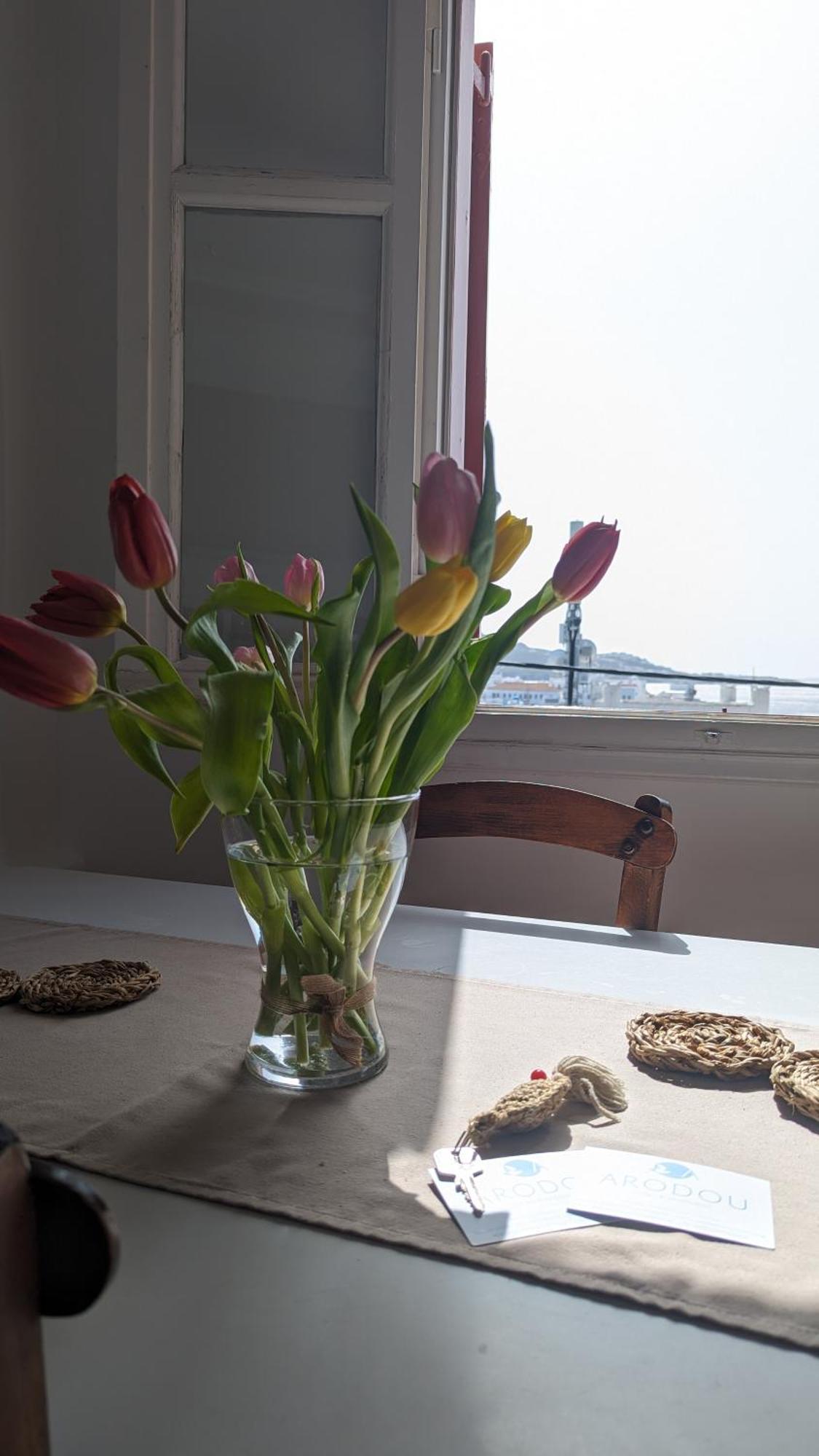 Arodou Studio And Apartment Mykonos Town Dış mekan fotoğraf