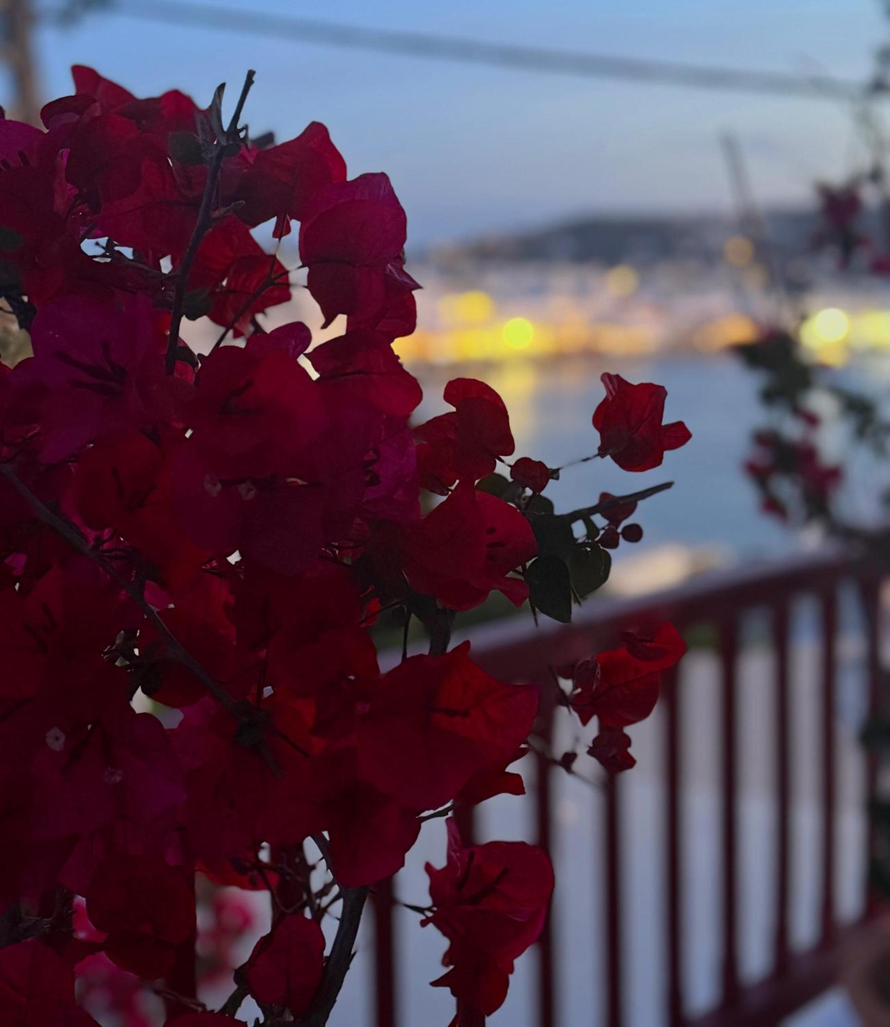 Arodou Studio And Apartment Mykonos Town Dış mekan fotoğraf